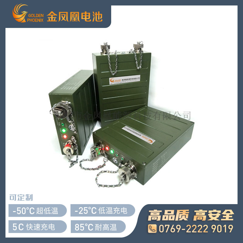 JFH-869-00(28.8V13.5Ah)特种锂电池组