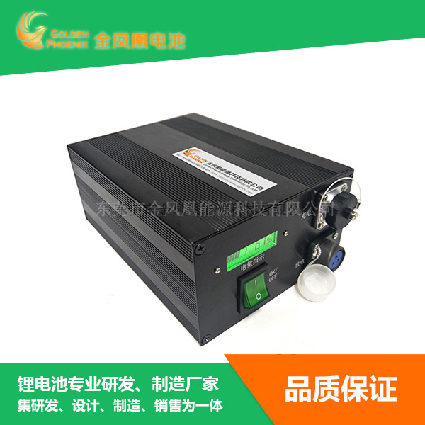 JFH-836-00(25.2V16Ah）低温锂电池组