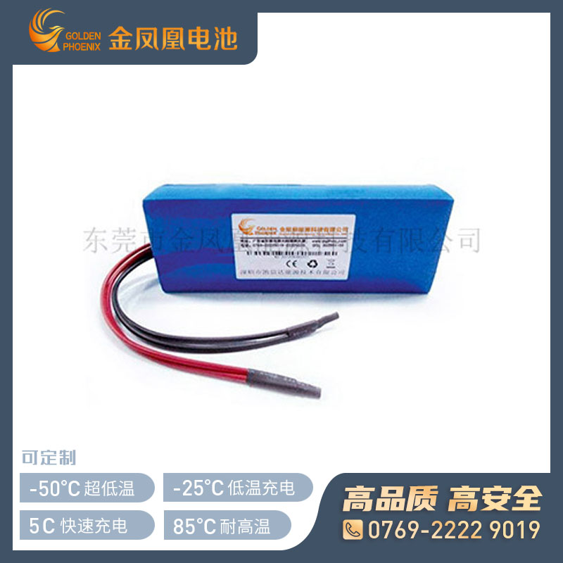 25.9V 10.0Ah磷酸铁锂电池