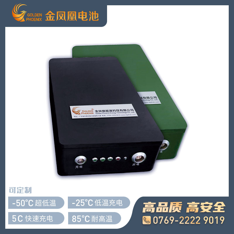 JFH-376-00（14.4V10Ah）三元锂电池